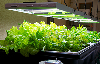 The global hydroponics crop value is anticipated to grow to USD 27.29 Billion